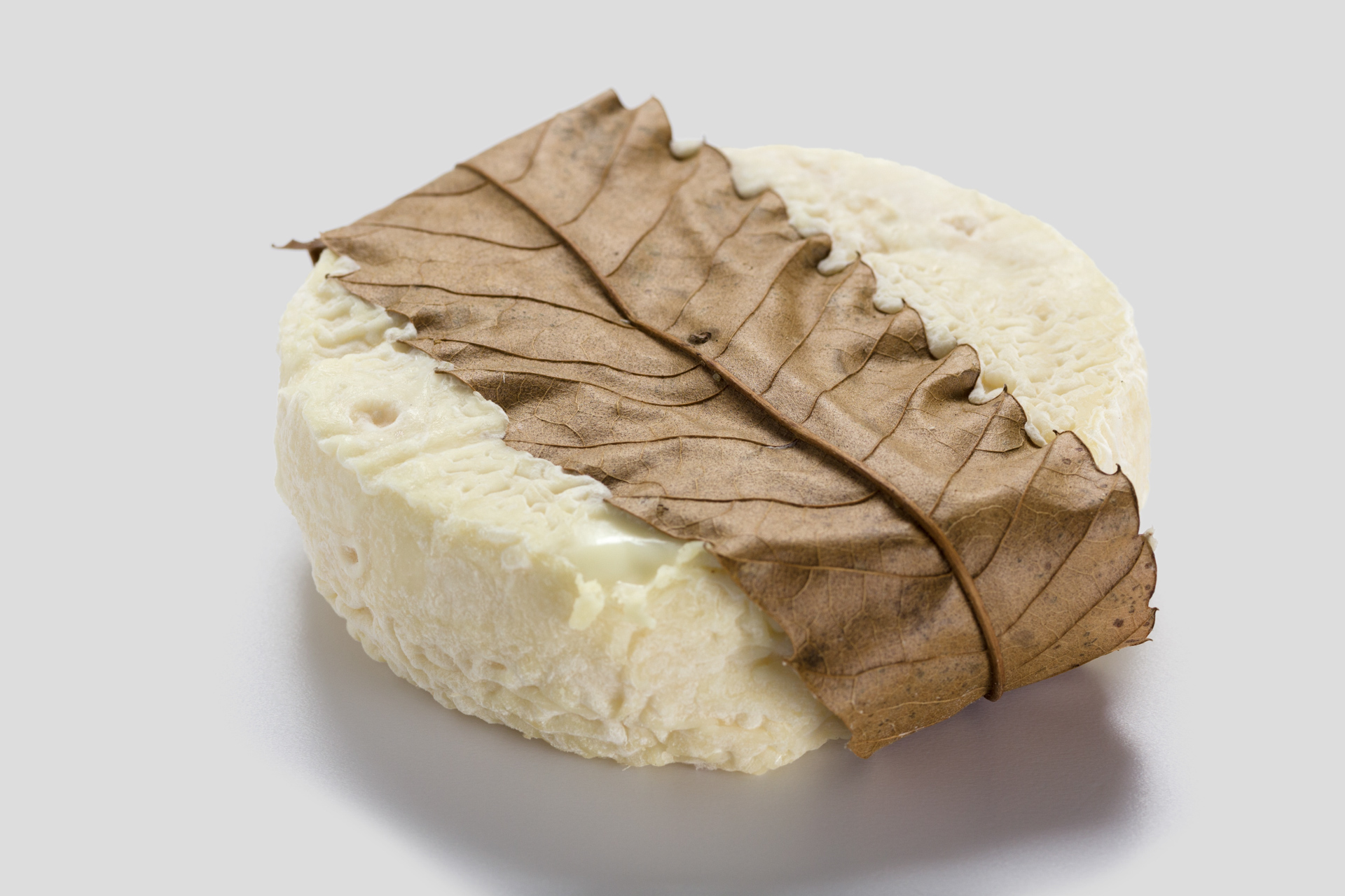 Mothais_HG_grau-6460 Mothais