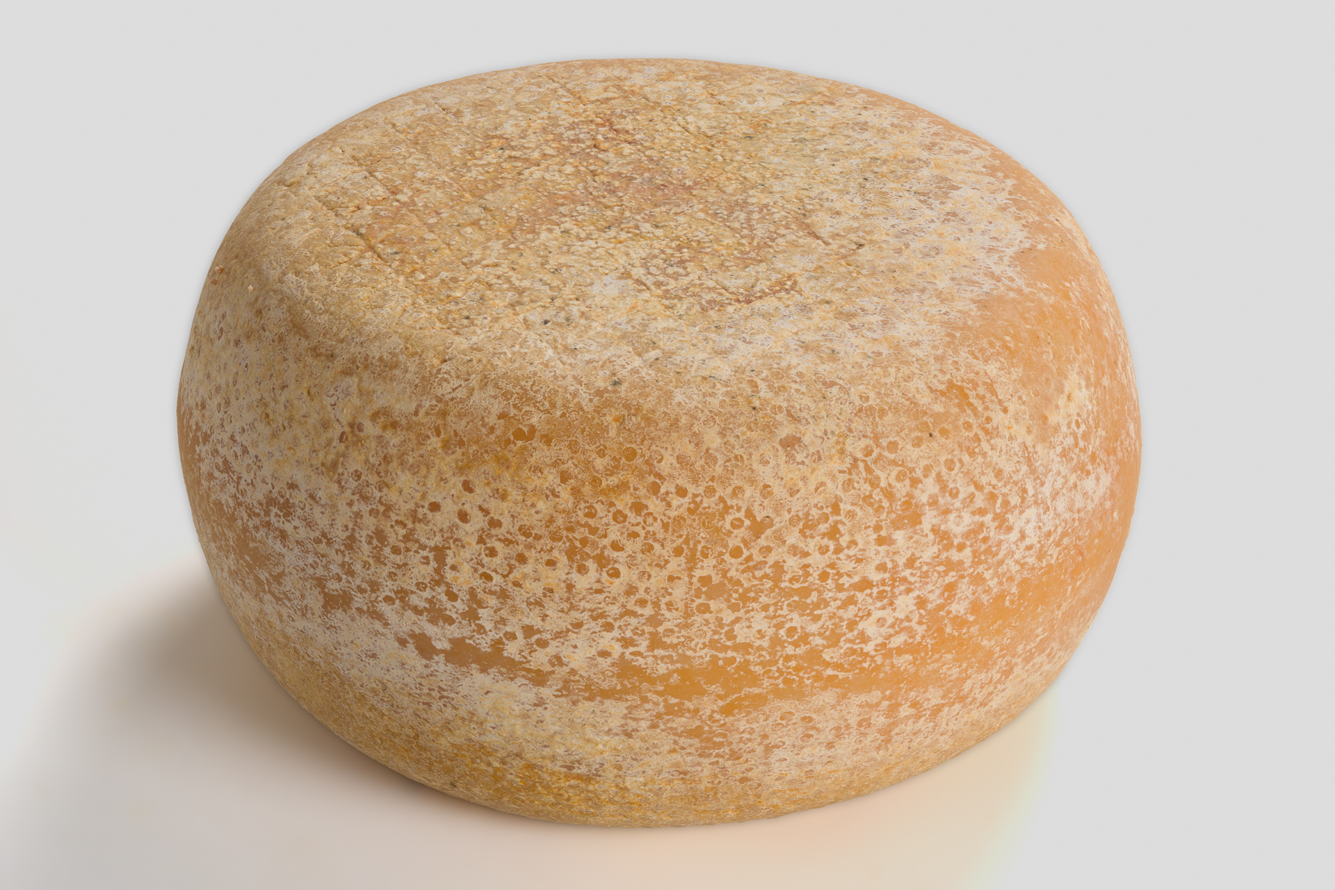 Pecorino medio