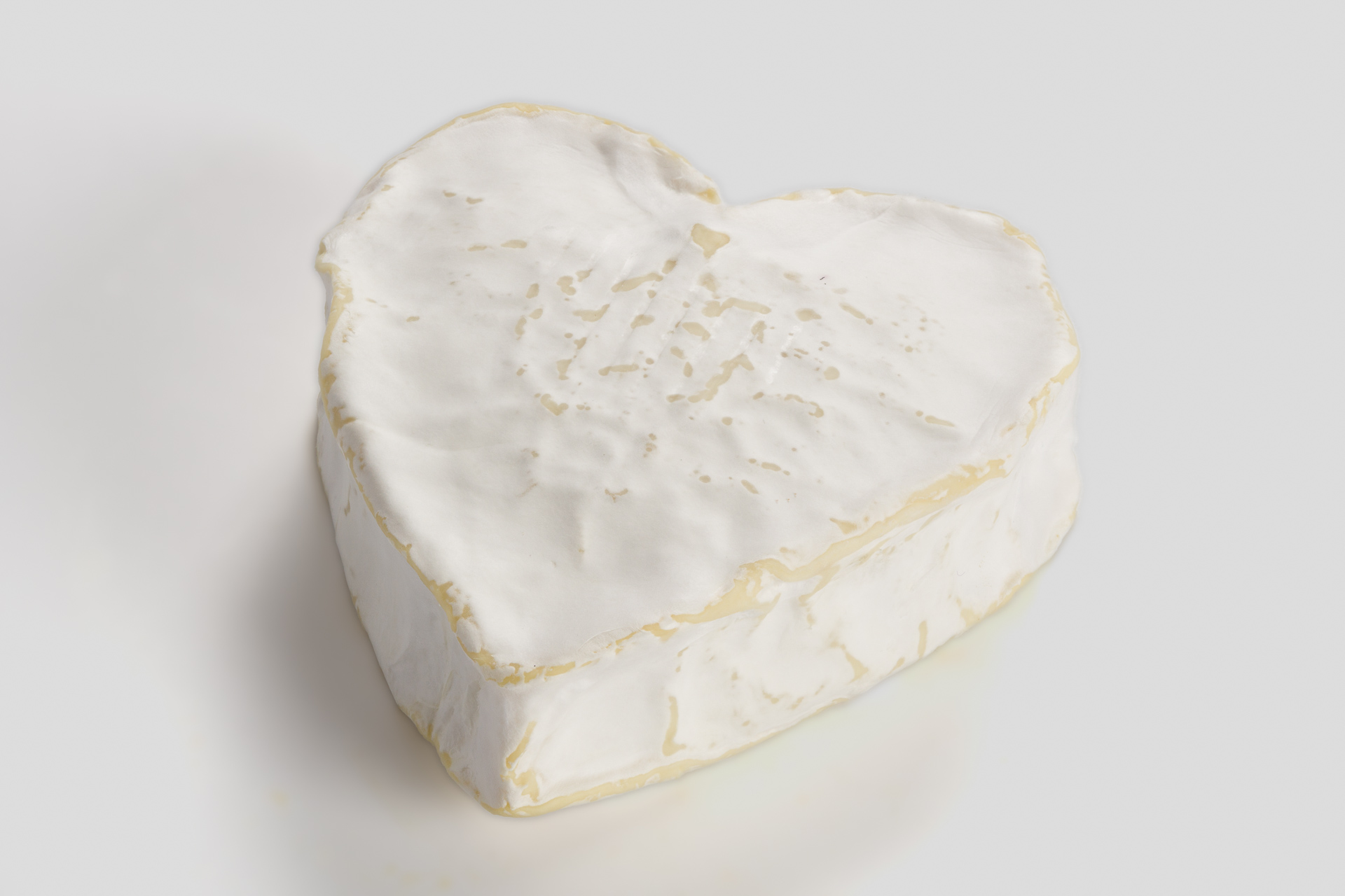 Neufchâtel, Frankreich, Normandie, Camembert, Aussenschimmel