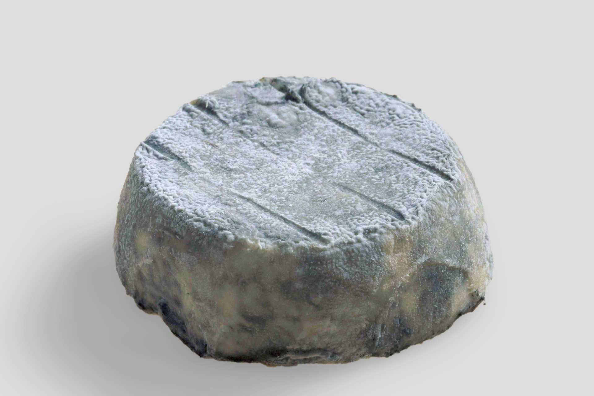 SELLES_SUR_CHER_HG_grau Selles-sur-Cher