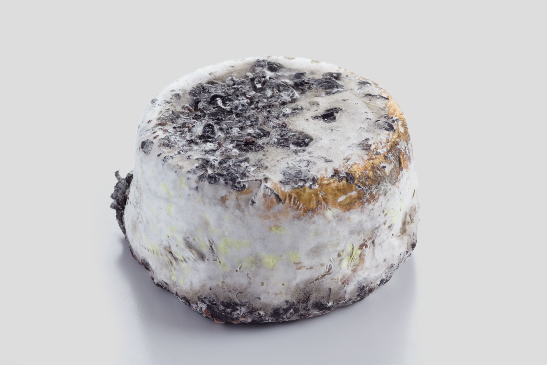 Tomme de Marc