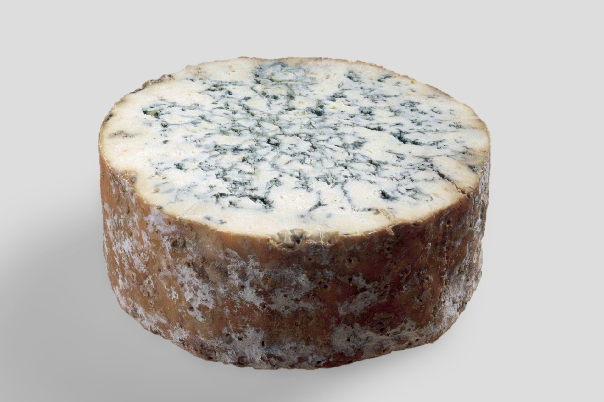 STILTON_HG_grau Stilton