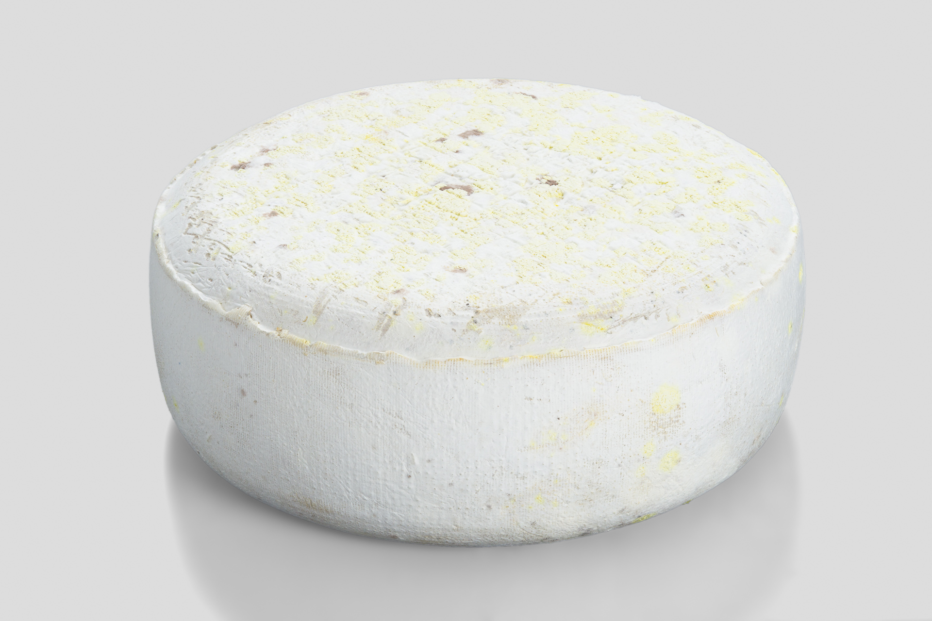 Brebis_lait-montagne_ganz Brebis de Montagne