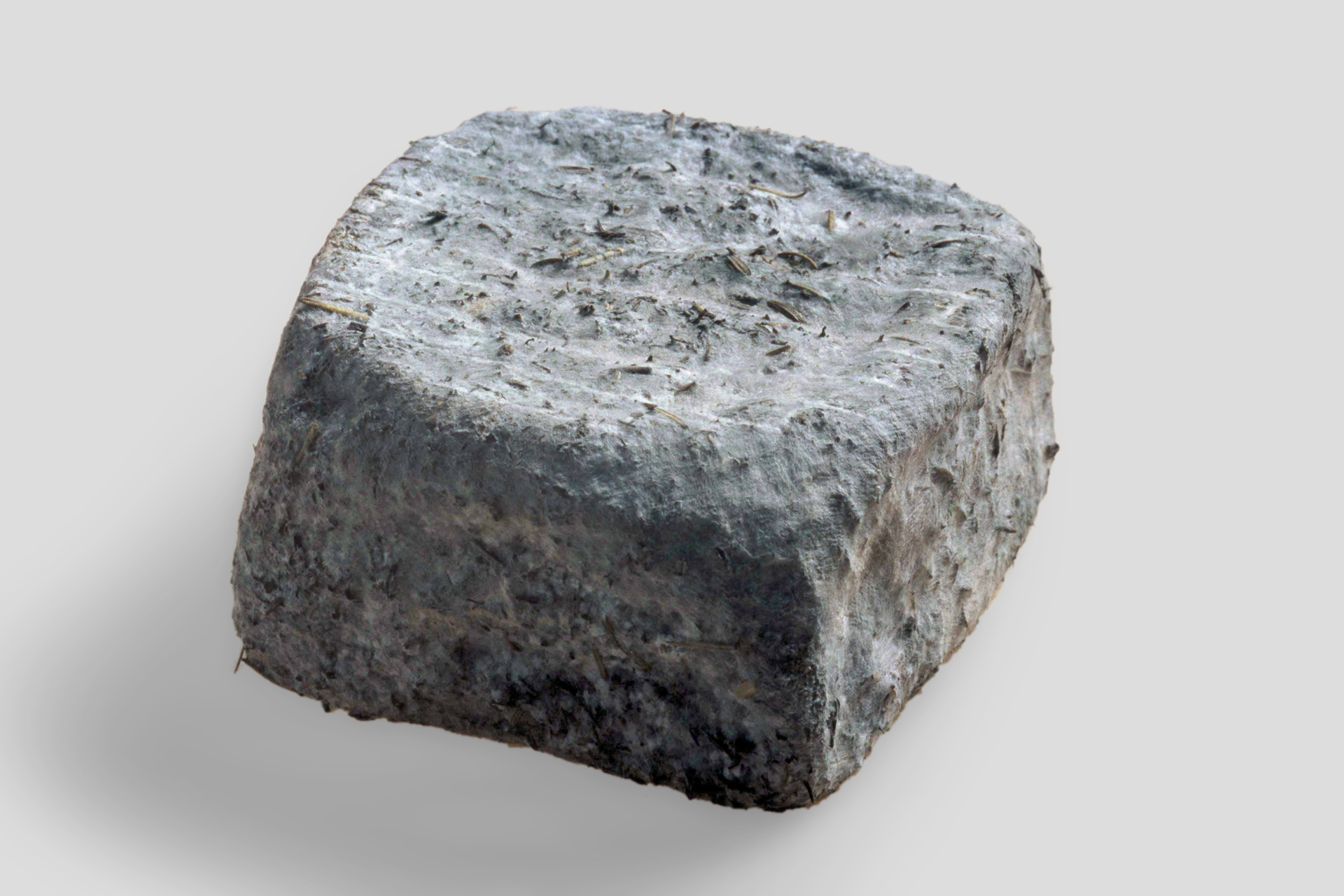 BRIN_D__HG_grau Brin d´ Amour